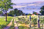 Along the Vineyard.jpg