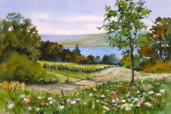 Finger Lakes Vineyard.jpg