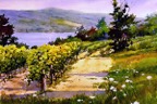 Keuka Summer Vineyard.jpg