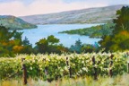 Keuka Vines 5.jpg