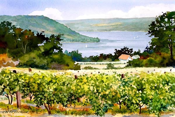 Keuka Vines IV.jpg