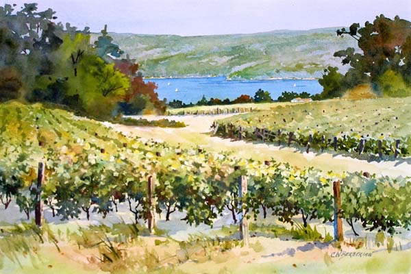 Winding Vineyard 2.jpg