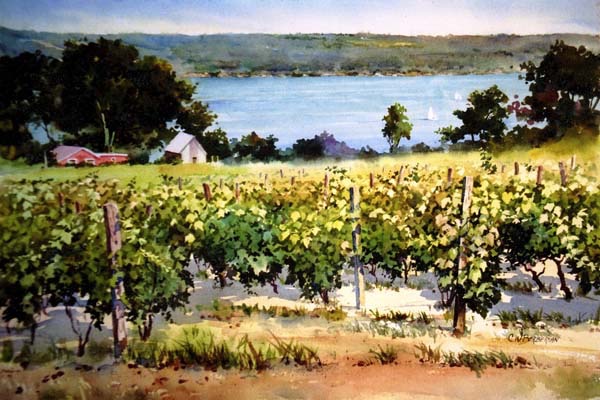 Cayuga Vineyard.jpg