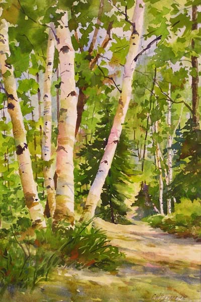 Summer Birches.jpg