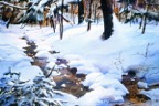 Winter's Blanket.jpg